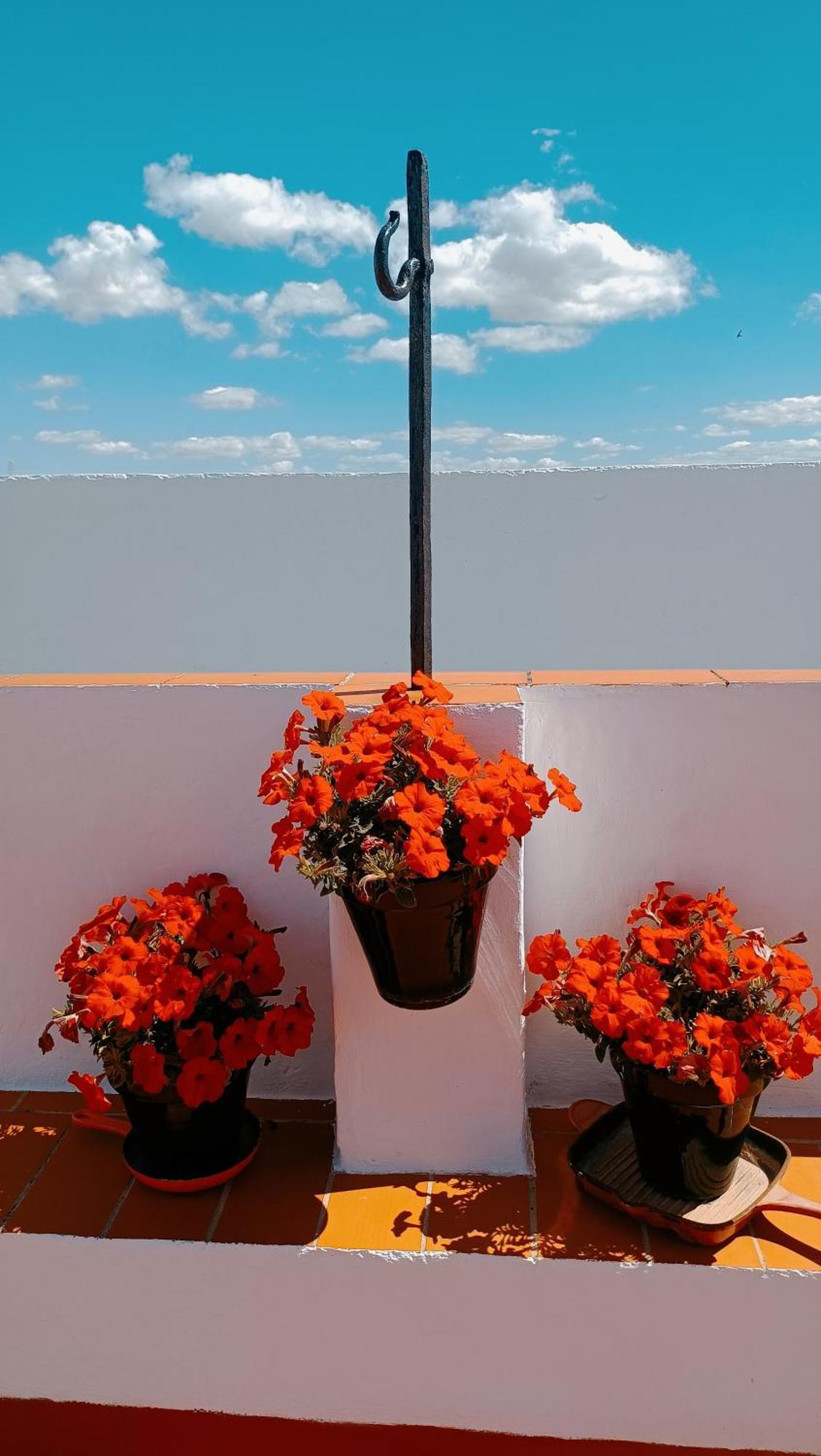 Casa Campana Bed & Breakfast Arcos de la Frontera Bagian luar foto